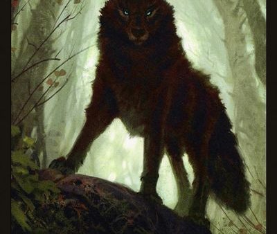 Wolf Double-Sided Token [Challenger Decks 2020 Tokens] For Discount