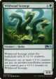 Wildwood Scourge [Core Set 2021] Online Sale