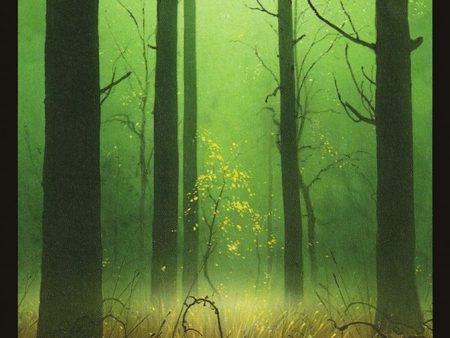 Forest (381) [Double Masters] Online Hot Sale