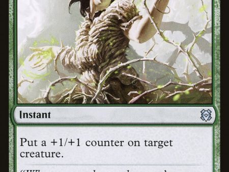 Vastwood Fortification    Vastwood Thicket [Zendikar Rising] For Cheap